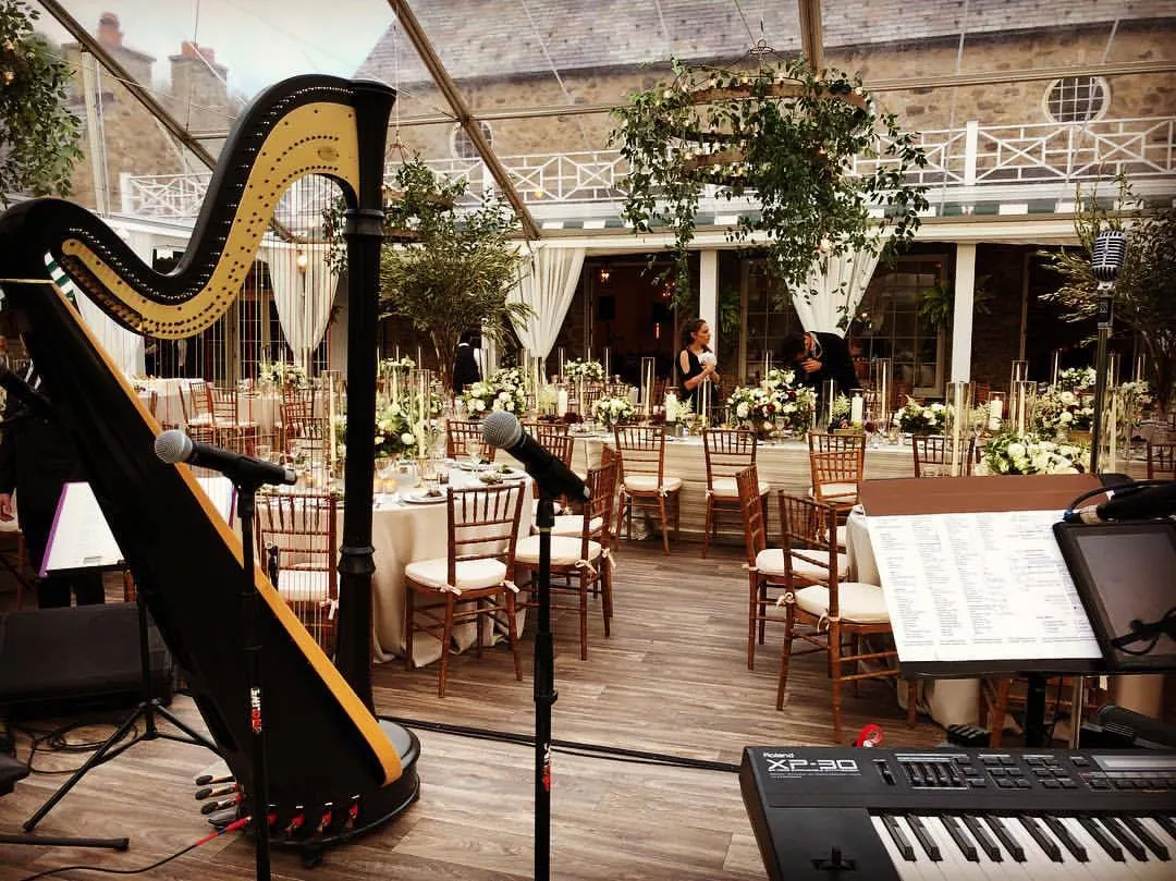 O&E, singing harpist & band — photo 21