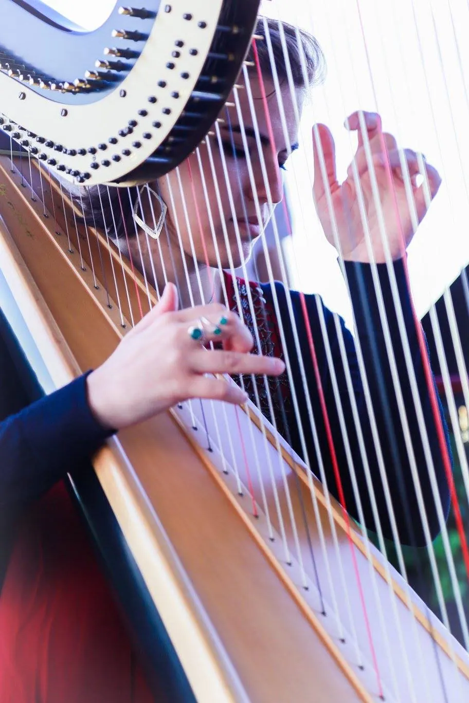 O&E, singing harpist & band — photo 18