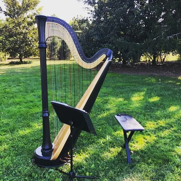 Lovely day #singingharpist #oande #weddingceremony  #lvertalent