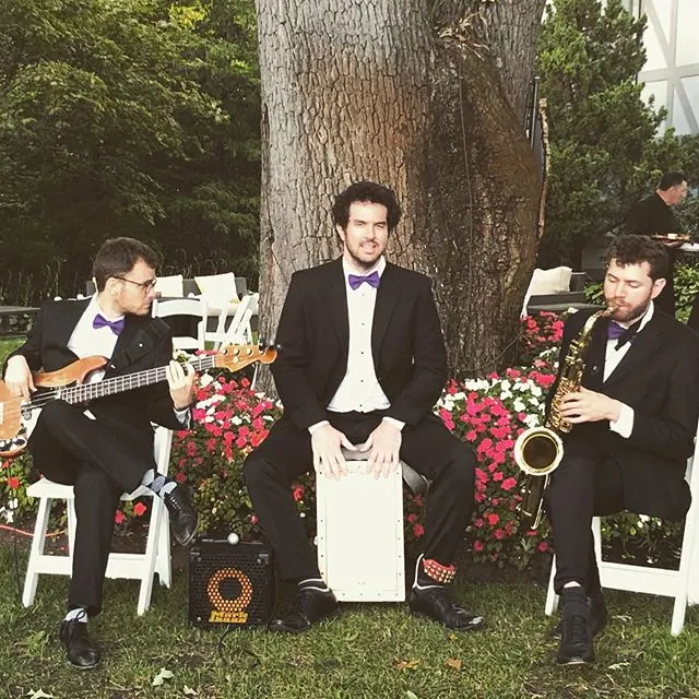 Three men and a harp. #oandeband #lvertalent @lvertalent @oandeband #tarrytown #ny #jazz #event #music #jazzband #frenchjazz #singingharpist #acoustic #gigmasters #thebash