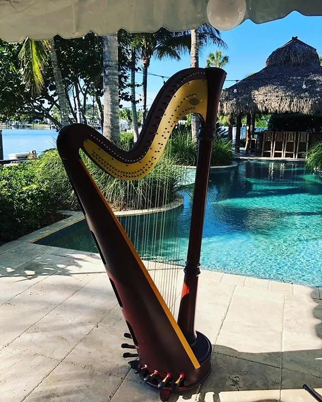Winter wonderland. Happy 2020 😎🥳🤩🏖🎷🎤🎭 #harp #singingharpist #oandeband #lvertalent #jazz #pop #frenchband #frenchmusic #frenchmusician #frenchsinger #nye #bandforhire @oandeband @lvertalent #placeda #florida
