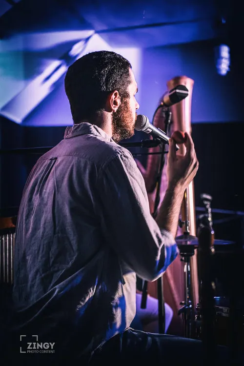 O&E, singing harpist & band — photo 4