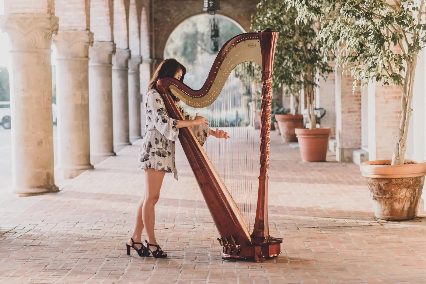 Tiffany, harpist — photo 5
