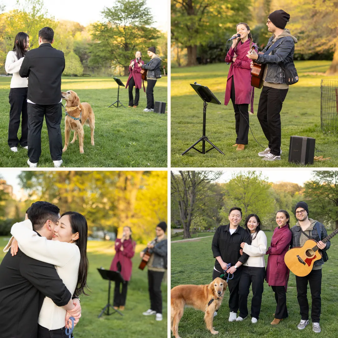 Proposal with live music
